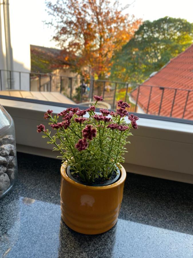 Gasthaus Zur Post Uetze Eksteriør billede